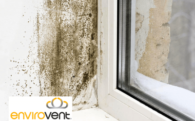 Social Housing Impact of Mould and Poor Ventilation Revealed at Housing Exhibition